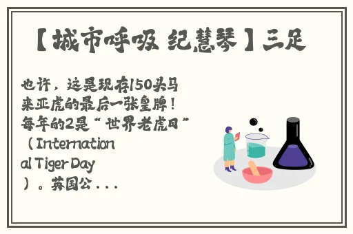 免费做运动视频扑克视频大全